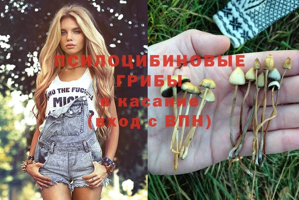 мдпв Абинск