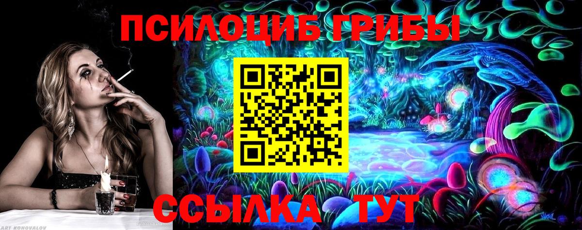 Скопин  Псилоцибиновые грибы Cubensis  Вход с VPN 