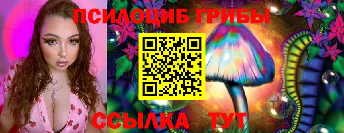 Псилоцибиновые грибы мицелий Скопин